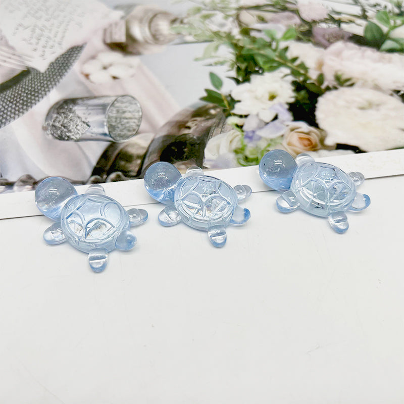 Jelly Turtle