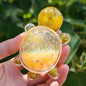 River Sand Turtle
