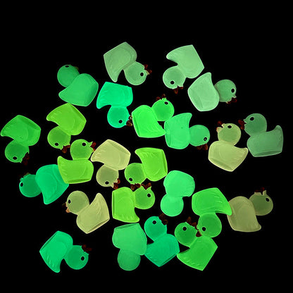 Luminous  Duck