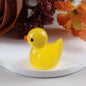 Luminous  Duck