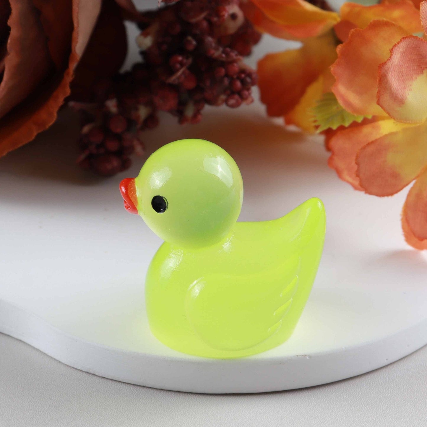 Luminous  Duck