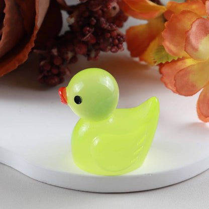 Luminous  Duck