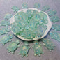 Luminous Firefly Turtles